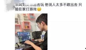 国产淫语在线,网络热词背后的趣味与争议