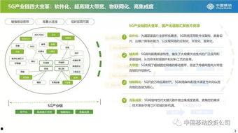 国产21页,揭秘我国科技发展的新篇章
